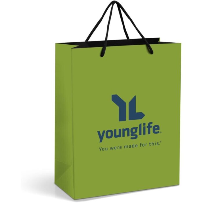 Altitude Omega Midi Paper Gift Bag - Image 3