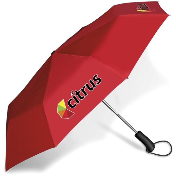 Whimsical Auto-Open Compact Umbrella - Image 3