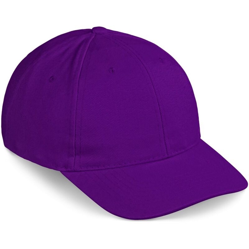 Pro Basic Cap - 6 Panel - Image 13